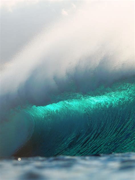 Free Download Big Surfing Ocean Waves Hawaii Ipad Iphone