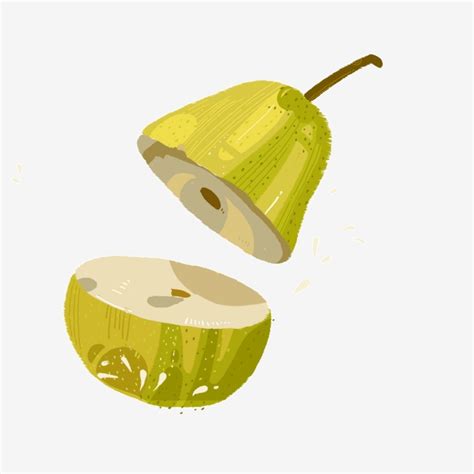 Green Pears Free Illustration Fresh Pears Cartoon Hand Drawn Hand
