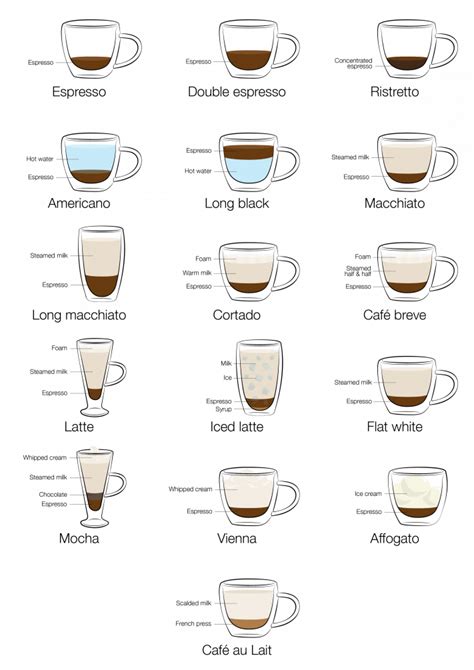 Types Of Coffee Vector Illustration Infographic Of Coffee Types And