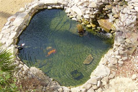 7 Most Breathtaking Koi Fish Ponds Qnud