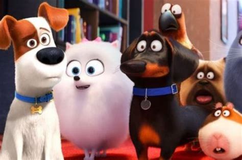 Filme de cachorro comédia drama animação e muito mais Guia
