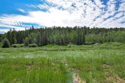 Secluded Colorado Mountain Five Acre Land