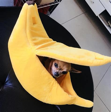 Banana Bed Pawgr