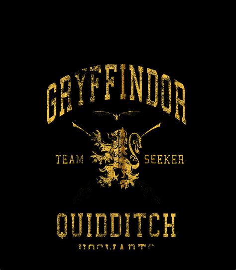 Harry Potter Gryffindor Team Seeker Hogwarts Quidditch Digital Art By