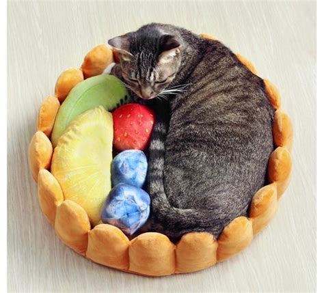 Cute Cat Beds Your Cat Will Actually Use Meowingtons