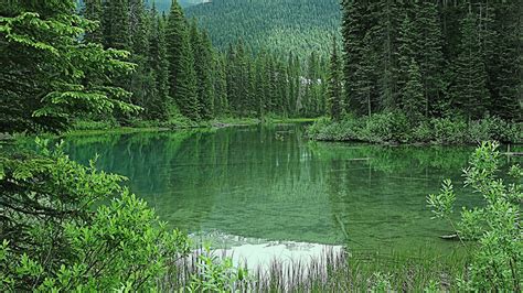 Fondos De Pantalla 1366x768 Canadá Lago Bosques Emerald Lake Naturaleza
