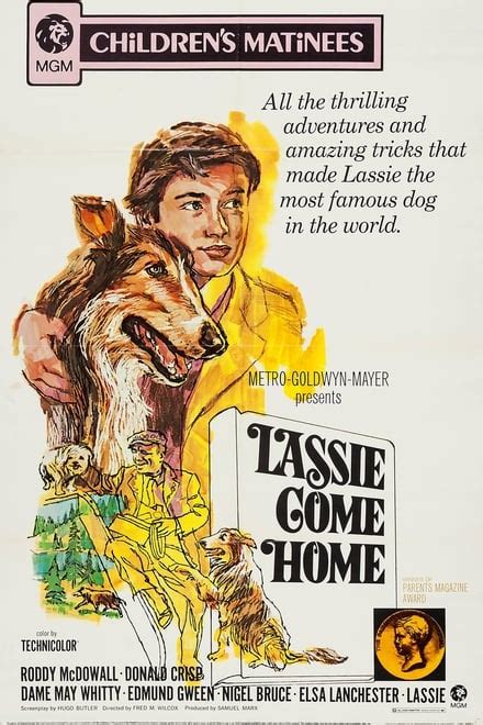 lassie come home
