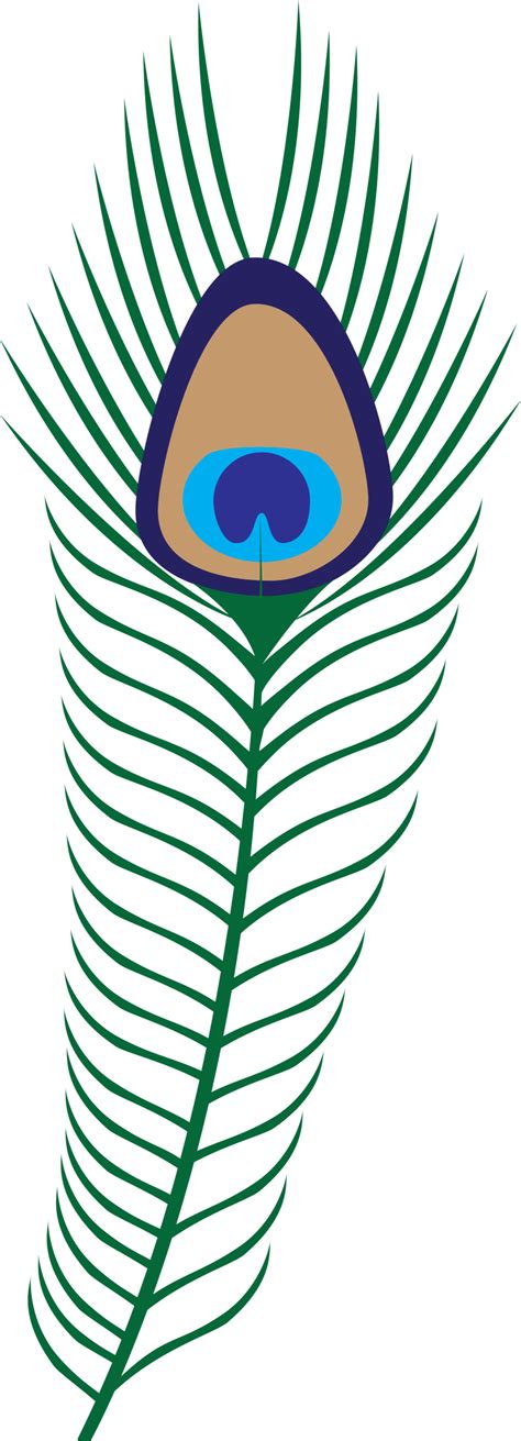 Free Peacock Cliparts Download Free Peacock Cliparts Png Images Free ClipArts On Clipart Library