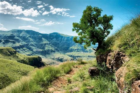 Rundreise Durch Kwazulu Natal Abseits Der Touristenpfade Südafrika