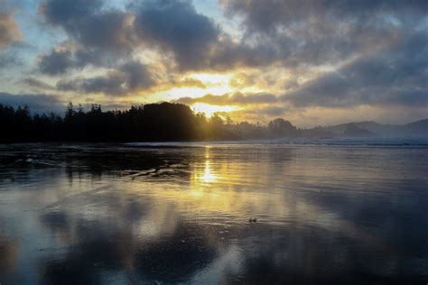 23 Things To Do In Tofino On Vancouver Island Story Telling Co