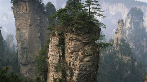 Rock Nature Trees Landscape China Wallpapers Hd