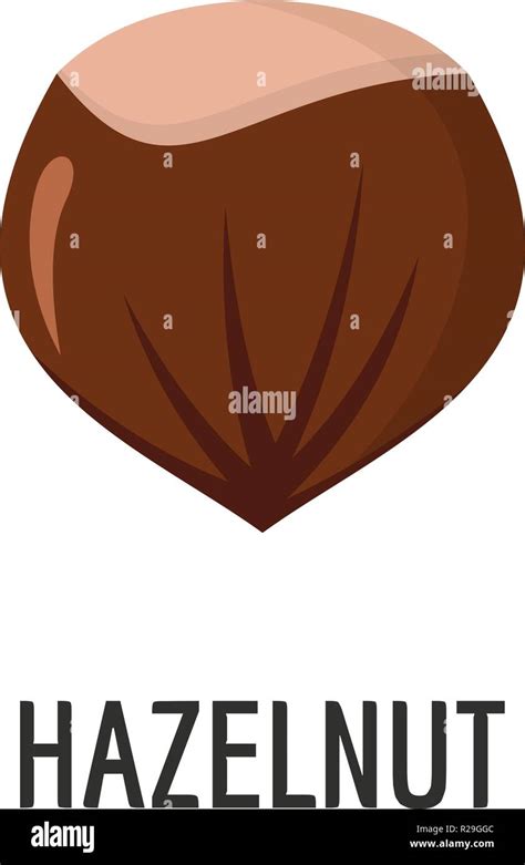 Hazelnut Icon Flat Illustration Of Hazelnut Vector Icon For Web Stock