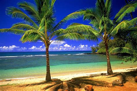 1080p Free Download Hawaiian Beach Sand Water Summer Shadows