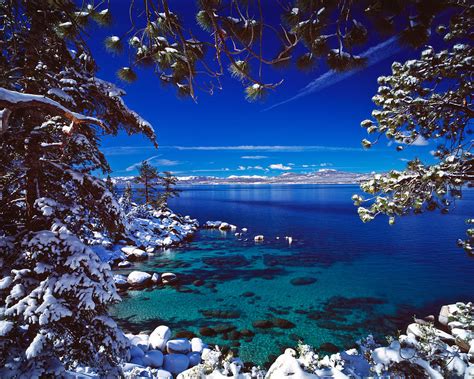 Winter Frame Of Lake Tahoe Photograph By Vance Fox Fine Art America