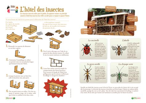 Hotel Insectes 992×702 Hôtel à Insectes Insectes De Jardin