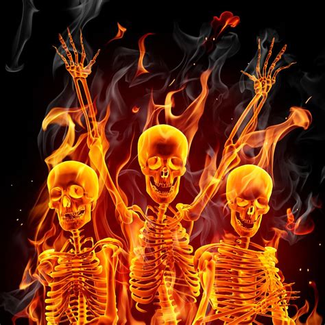 Skulls With Flames Light My Fire Pinterest Skeleton Anatomy