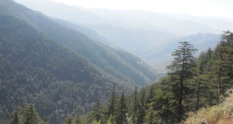 Green Valley Shimla Entry Fee Timings Best Time To Visit Images