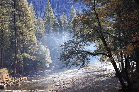 Photos Yosemite Usa Autumn Nature Park Forest Stone Trees
