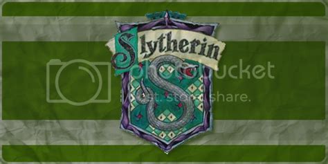 Slytherin Banner Photo By Aboutagirl007 Photobucket