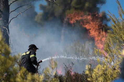 Φωτιά έχει ξεσπάσει στην περιοχή μαρκάτι στο λαύριο. ΈΚΤΑΚΤΗ ΕΙΔΗΣΗ: Μεγάλη φωτιά τώρα στην Κερατέα - Επιτόπου ...