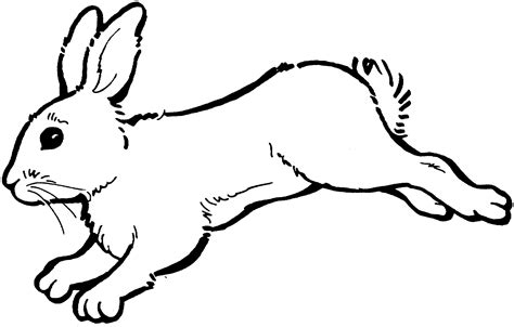 Running Bunny Clip Art Clipart Best