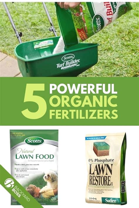 How to fertilize my own lawn. Partial Shade: Its Vital Role in Organic Vegetable ...