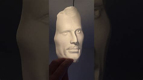 Einstein Hollow Face Illusion Photos Of Mind Boggling Optical