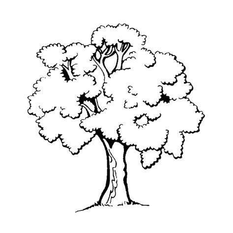 Pretty Little Tree Trees Kids Coloring Pages