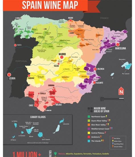Infografía El Mapa Del Vino En España