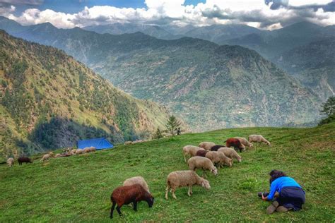 Get hindi news from uttarakhand (उत्तराखंड समाचार) on amar ujala. Offbeat Uttarakhand attractions | Times of India Travel