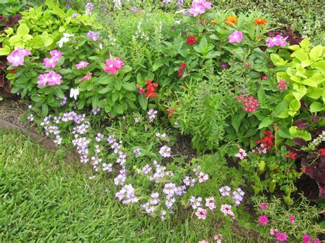 Plant these 10 flowers to create the cottage garden of your dreams: The OtHeR HoUsToN: BUNGALOW & COTTAGE GARDEN FLOWERS FOR ...