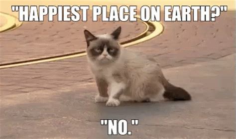 Happiest Place On Nope. - Grumpy Cat GIF - GrumpyCat Disneyland Happy