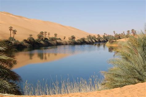 Oasis Sahara Desert An Oasis In The Ubari Sand Sea Libya Part Of