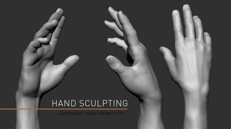 Zbrush Anatomy Sculpting Hands