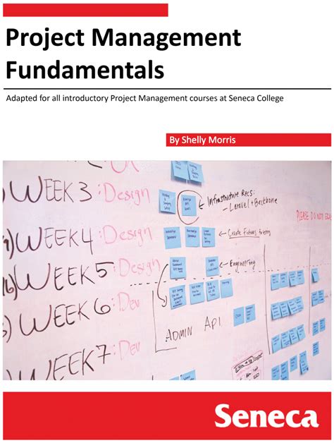 Project Management Fundamentals Simple Book Publishing