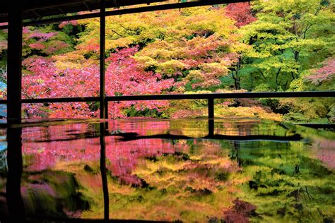 Rurikoin Temple Kyoto Picturesque Temple With Maple Leaves Japan Web