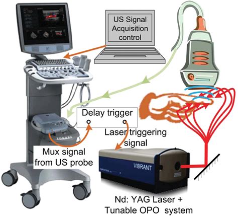 Schematic Of The Uspa Dual Modality Imaging System For Human
