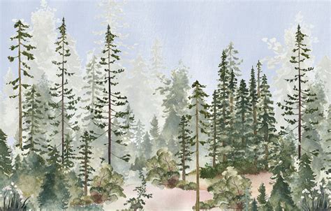 Watercolor Pine Tree Forest Peel And Stick Wallpaper Self Etsy Canada