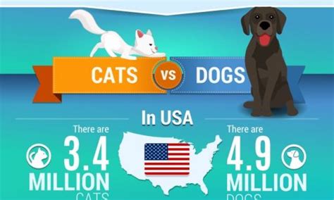 Humans Vs Animals Daily Infographic