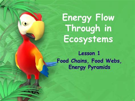 Ppt Energy Flow Through In Ecosystems Powerpoint Presentation Free