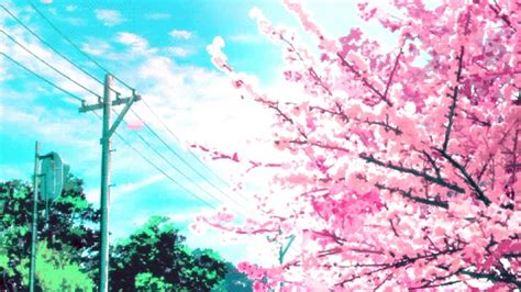 Aesthetic Cherry Tree Anime Background Images And Photos Finder