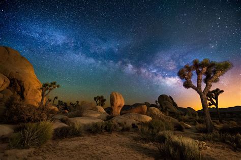 A Night In Joshua Tree Joshua Tree National Park At Night With The
