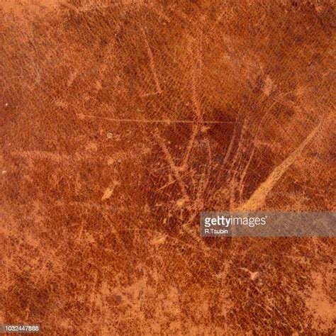 Mottled Skin Photos And Premium High Res Pictures Getty Images