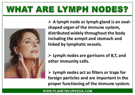 Lymph System Health