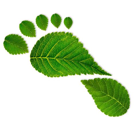 106800 Environmental Footprint Stock Photos Pictures And Royalty Free