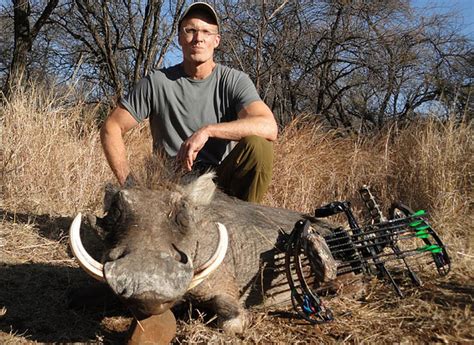 Six Questions About Cecil The Lion And Big Game Hunting In Africa The