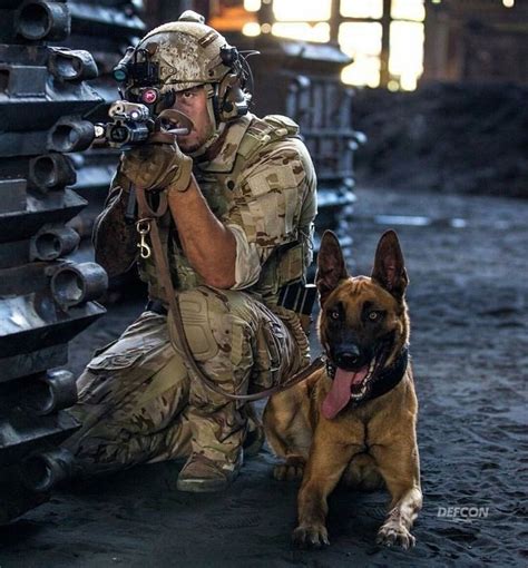 Navy Seals K9 Military Dogs Military Working Dogs Dog Soldiers