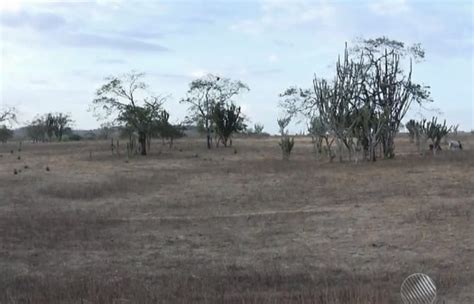 Mais De 50 Cidades Estão Em Situação De Emergência Por Conta Da Seca Na