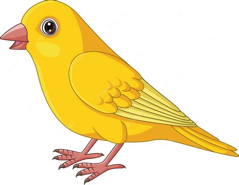 Premium Vector Cartoon Yellow Canary Bird On White Background