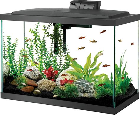 Best 20 Gallon Fish Tanks 2020 Get Aquarium Fish